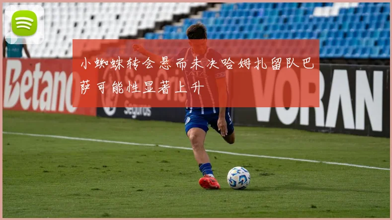小蜘蛛转会悬而未决哈姆扎留队巴萨可能性显著上升