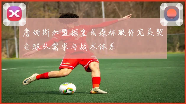 詹姆斯加盟掘金或森林狼将完美契合球队需求与战术体系