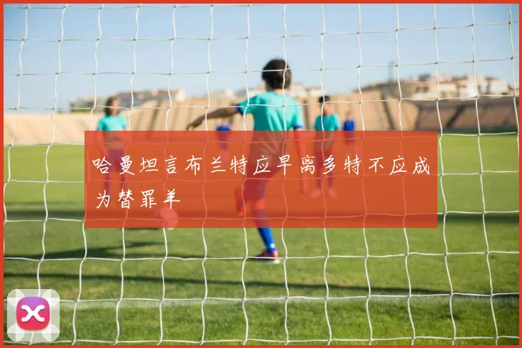 哈曼坦言布兰特应早离多特不应成为替罪羊