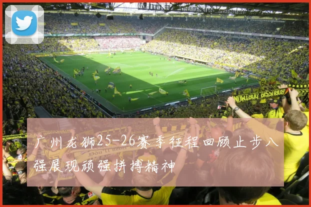 广州龙狮25-26赛季征程回顾止步八强展现顽强拼搏精神